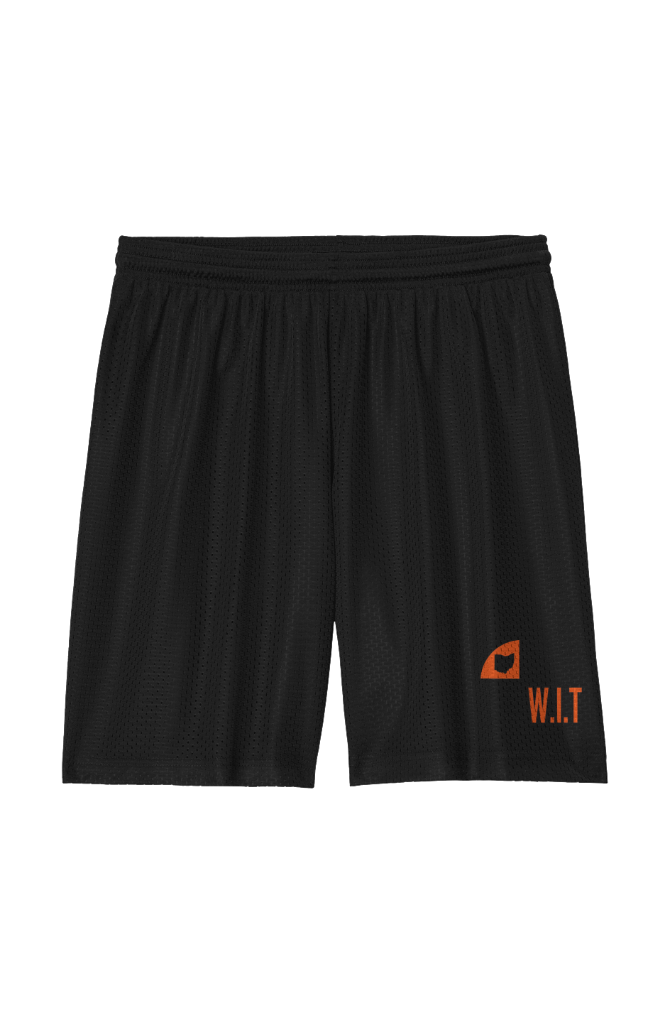The WIT "Varsity" Mesh Shorts (Adult Sizes)