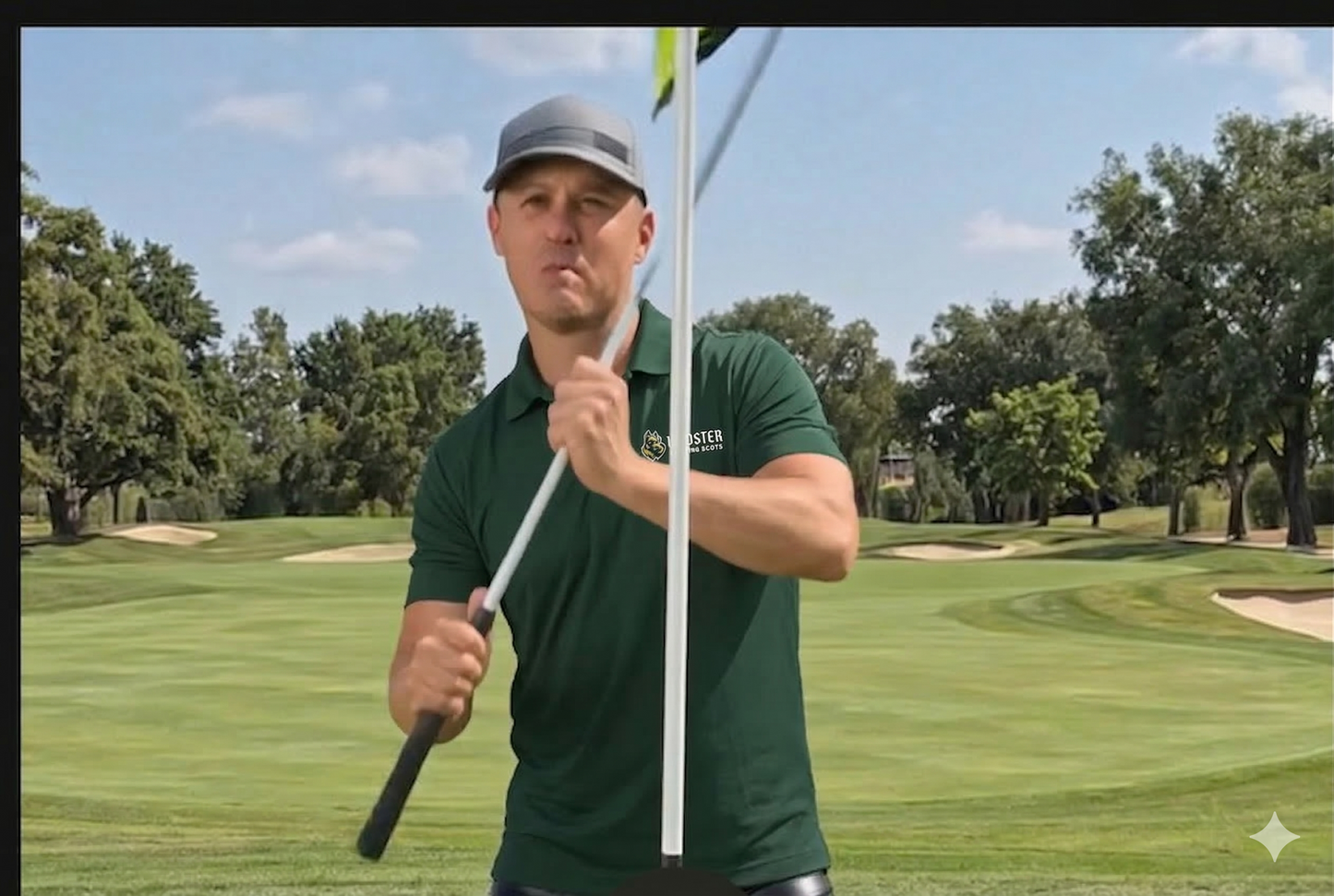 Wooster DryBlend Polo